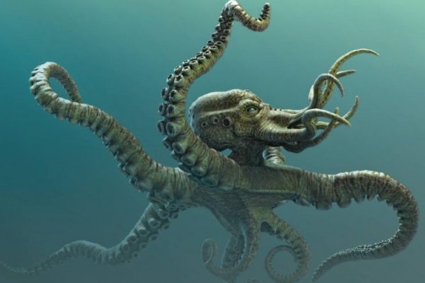 Kraken маркетплейс